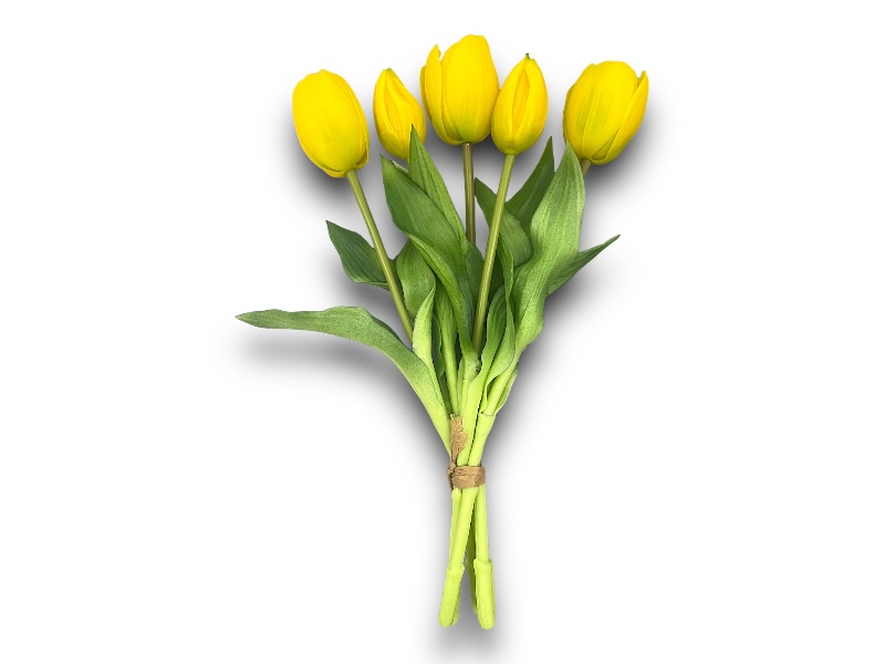 Csokros tulipán 5szálas BFT01